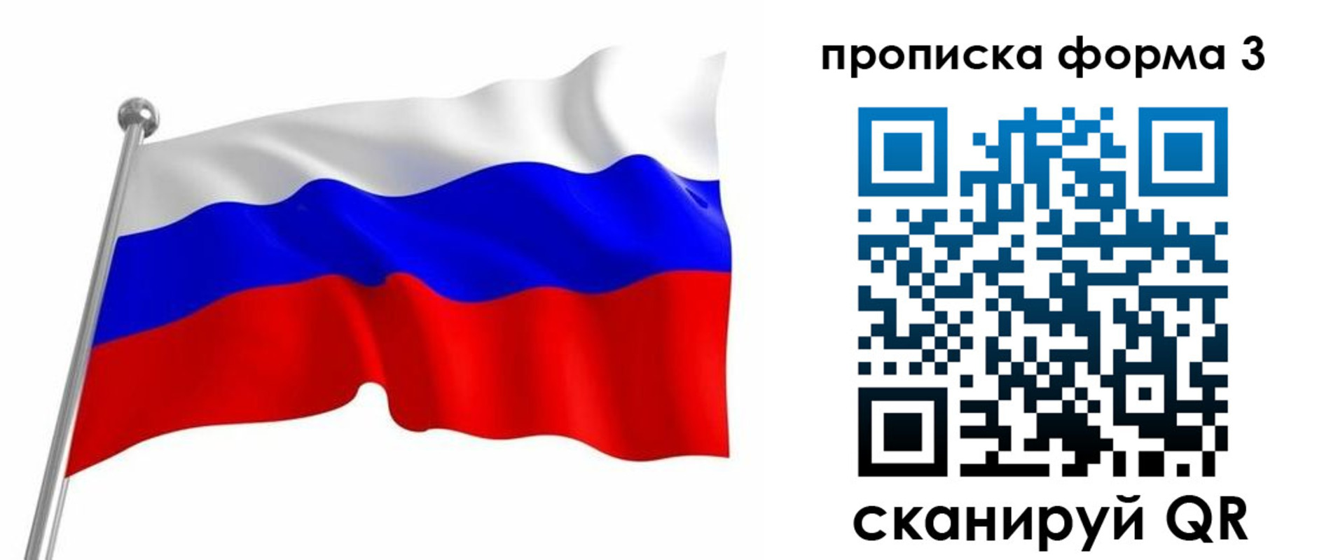 прописка для школы в Владимирской области